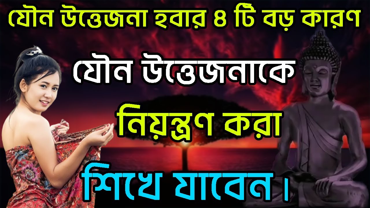 কাম বাসনার ৪টি কারণ Buddhist Story In Bengali Buddha Story