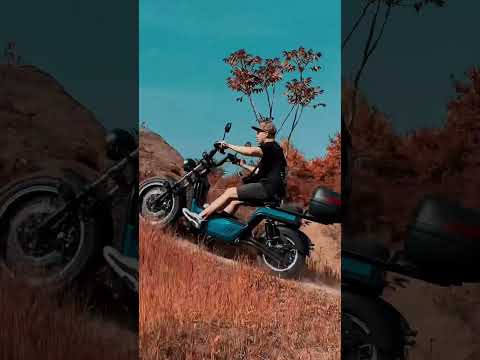 ЭТО SkyBoard BR-100