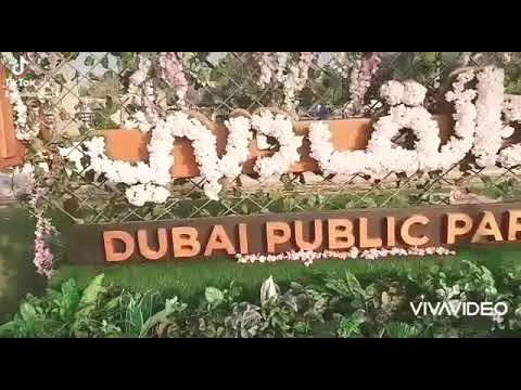 Travel Dubai. Chill, Unwind, Relax at the beach..Jumiera Beach Um Sequim Park