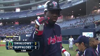 2014 NPB Spring Training Highlight Plays