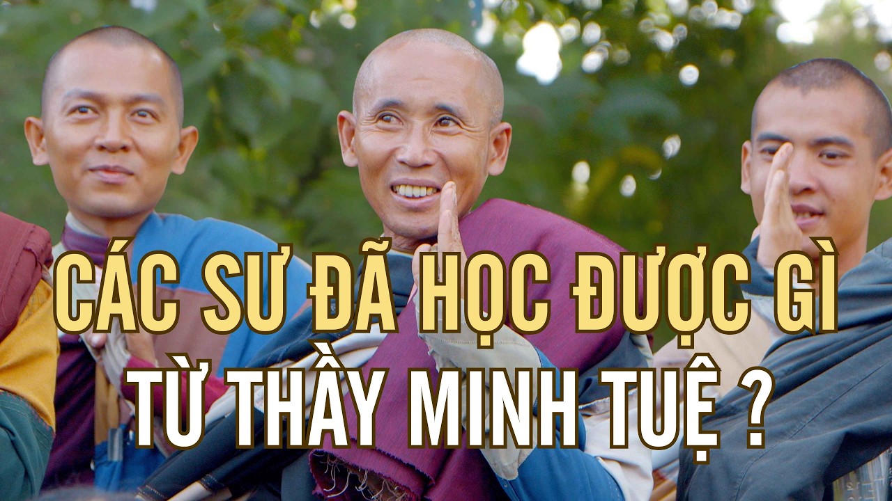 CÁC SƯ ĐÃ HỌC ĐƯỢC GÌ TỪ THẦY MINH TUỆ? HỌ THẤY GÌ? #thayminhtue #thichminhtue