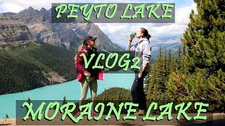 Banff Travel Guide | Moraine Lake and Peyto Lake VLOG#2