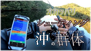 【ストライカーキャスト】うひょー魚映るとテンション上がるぅぅ【ワイヤレス魚探】