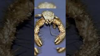 Estos datos te van a INCOMODAR 😨