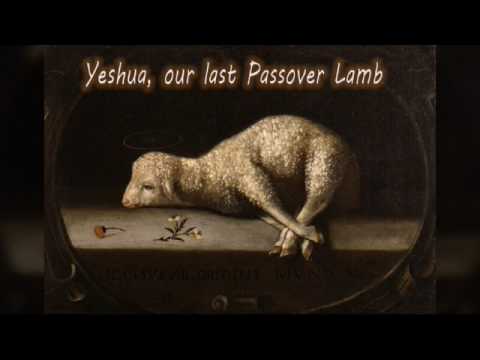 kejadian 1 20 23 Proverbs 20 1 31 Deuteronomy 32 33 Proverbs 23 29 35  kejadian 1 20 23 Proverbs 20 1 31 Deuteronomy 32 33 Proverbs 23 29 35