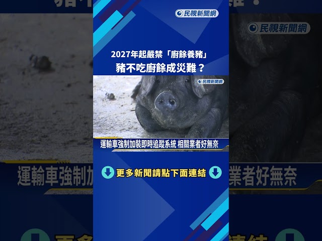 2027年起嚴禁"廚餘養豬" 豬不吃廚餘成災難?－民視新聞