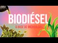 Biotecnología Azul - Biodiésel a Base de Microalgas