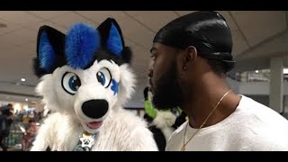 Animal Control Vs Furry Con Jidion Re-Upload