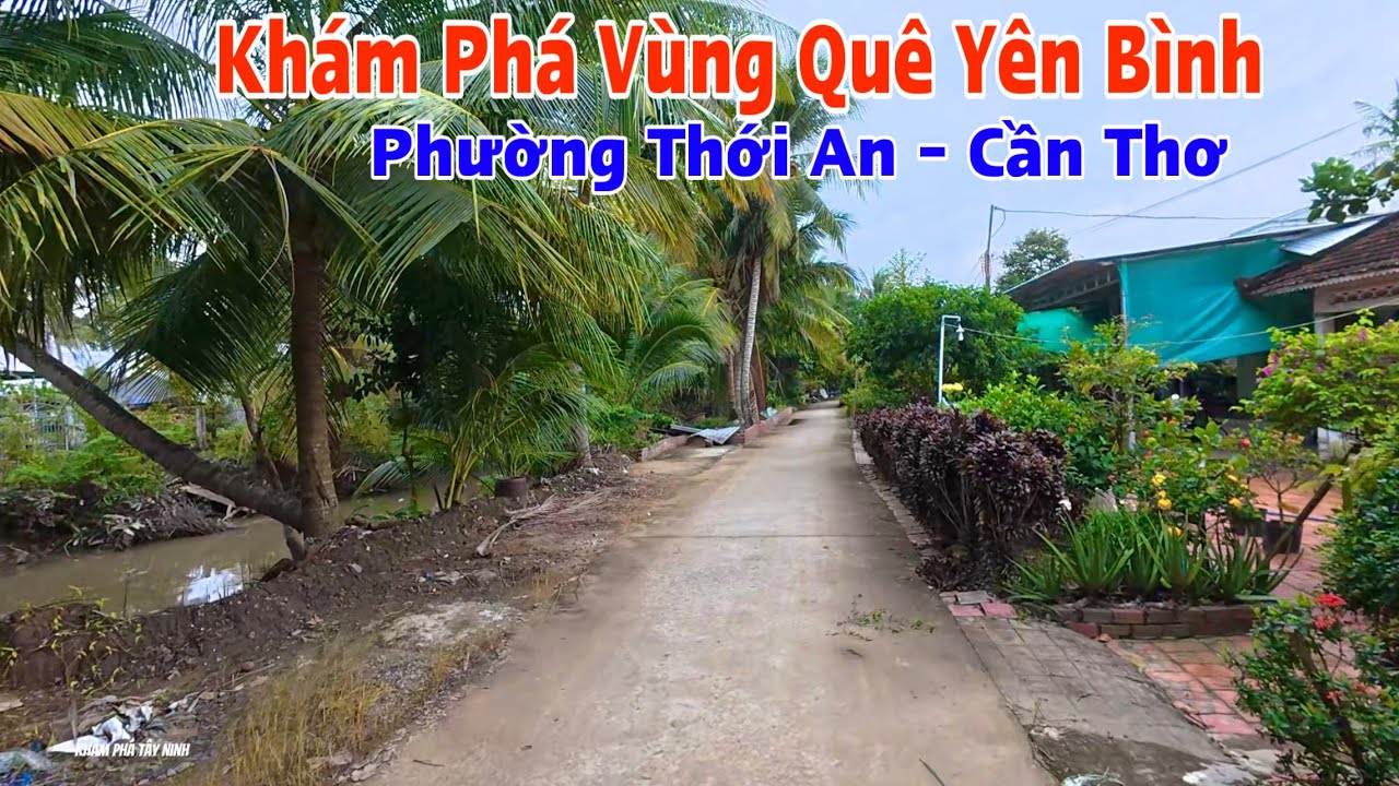 Khám Phá Vùng Quê Yên Bình Phường Thới An, Ô Môn Cần Thơ Những Ngày Cuối Năm