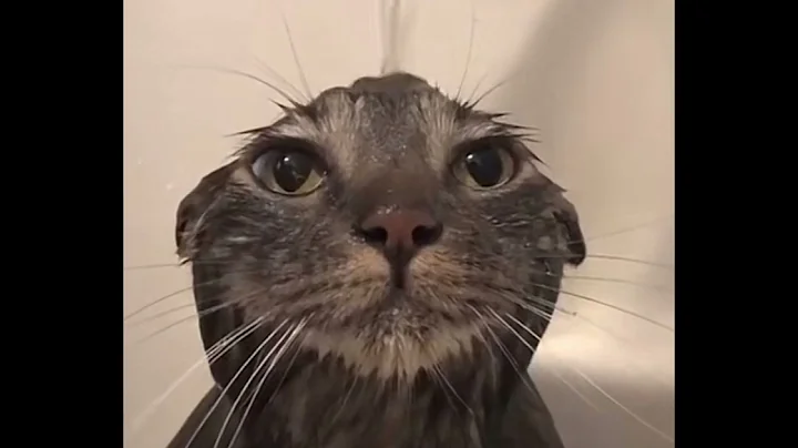 Travis Scott-90210 sped up perfectly