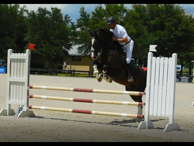 Show jumping with the hobby horse – DW – 07/20/2023