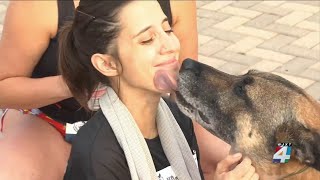 JSO's K9 Huk makes an appearance at the 9k for K9s charity event