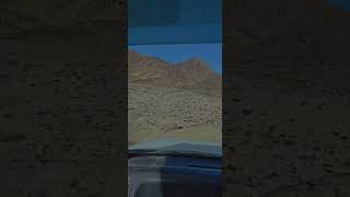 Sese Hunting in Jeep. #shorts #love #mountains #jeep #shotgun #pakistan screenshot 3