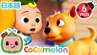 ビンゴのなまえをよんでみよう