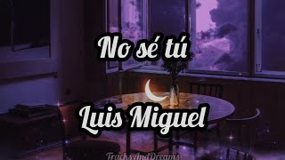 No sé tú - Luis Miguel (Letra)