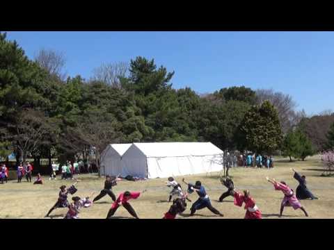 2017 4 2 各務原さくら祭り 烏舞 3