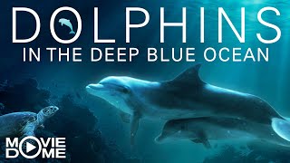 Dolphins in the deep Blue Ocean | Full Film |  documentary | Watch for free at Moviedome UK