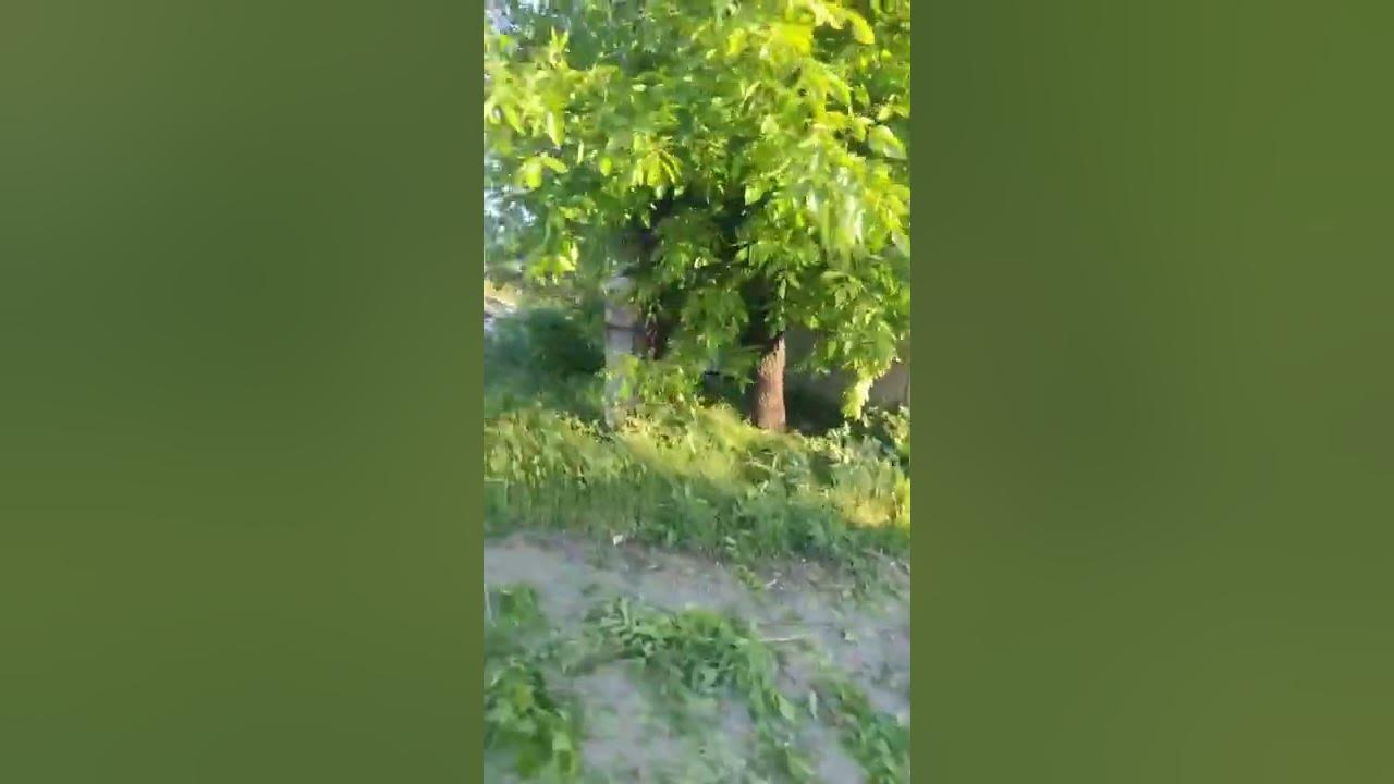 МАРЬИНКА СЕЙЧАС. ВОТ ТАК ВЫГЛЯДИТ "ОСВОБОЖДЕНИЕ". - YouTube