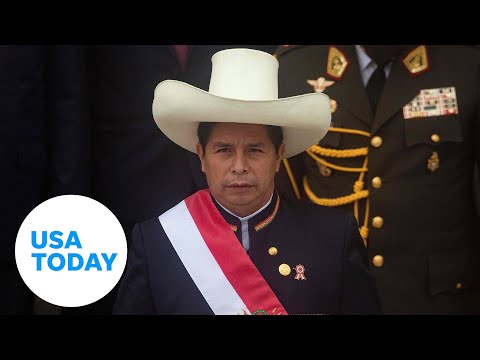 Pedro Castillo removed from office in Peru, arrested for rebellion | USA TODAY