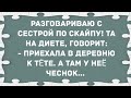 Приехала в деревню к тёте. Сборник Свежих Анекдотов! Юмор!