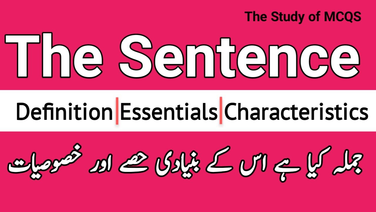 What is Sentence|Definition Characteristics Essentials of Sentence ...