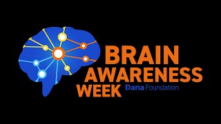 What You Need to Know About Memory - Brain Awareness Week 2022