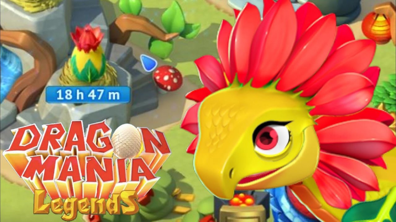 dragon mania legends sunflower breeding dragon mania legends sunflower breeding
