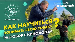 КАК НАУЧИТЬСЯ ПОНИМАТЬ И ВОСПИТЫВАТЬ СВОЮ СОБАКУ? Разговор с кинологом.