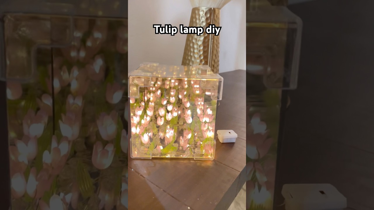 Tulip lamp diy video🌸 