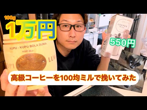 【破産】1万円の高級珈琲豆を100均のミルで挽いてみたら……。