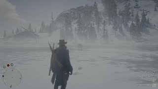 RDR2 Stand my ground at a Grizzly bear