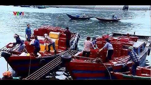 Rạng sáng ở bến cá Nghi Thủy - Thị xã Cửa Lò