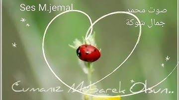 Muhammad cemal محمد جمال شوكة سورة التكوير
