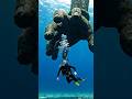 A giant trying attack to divers 🤯 #titan #attack #viral #shorts #foryou