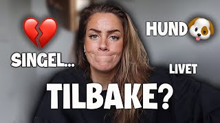 en liten oppdatering