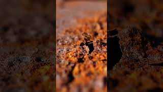 Rust