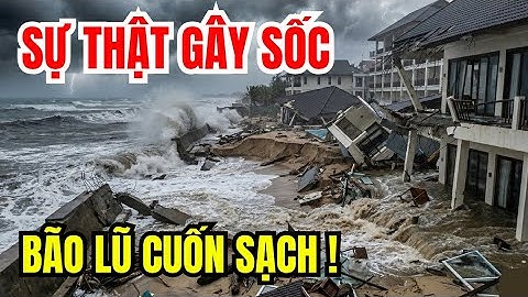 Sự Thật Gây Sốc: MẤT TRẮNG Sau Một Cơn Bão!