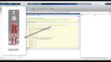 Xsens Tutorial: Import motion data into OpenSim