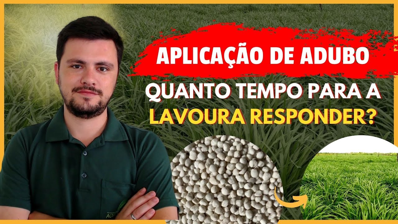 Quanto tempo para o nutriente ser ABSORVIDO PELA PLANTA e ser notado diferença