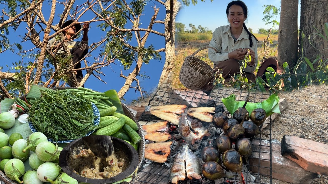 ចេះនឹកឃើញ ផ្កាស្តៅបុកត្រប់ស្រួយ ឆ្ងាញ់ម្លឹងៗ ណប់ពូកែឆ្នៃណាស់