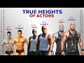 True Heights of Actors