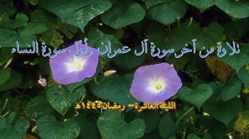 تلاوة من آخر سورة آل عمران وأول النساء | عبد الباري ريس وعبد الرحمن ريس | رمضان 1445هـ | الليلة 10