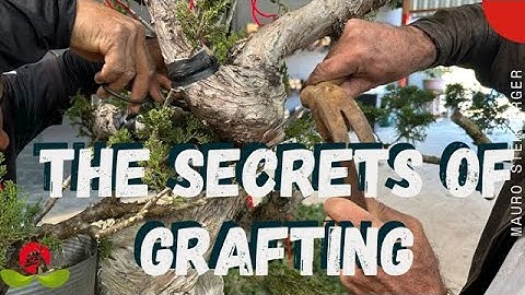 De geheimen van enten