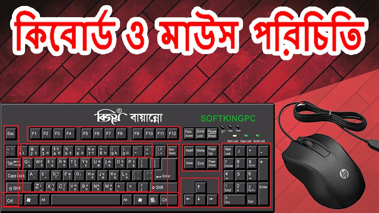 Keyboard introduction in Bangla। কীবোর্ড ও মাউস পরিচিতি - YouTube