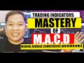 Mastery of macd trading indicator
