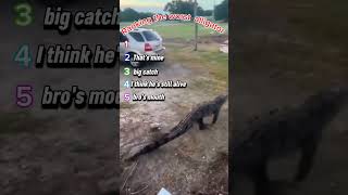 Ranking the worst alligator