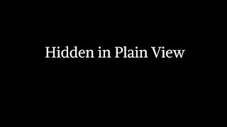 Hidden in Plain View