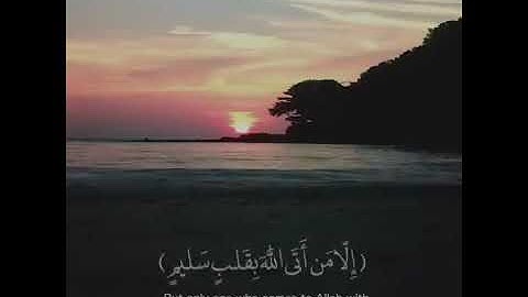 تلاوه مبكيه /يوم لا ينفع مال ولا بنون