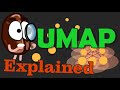 UMAP explained | The best dimensionality reduction?