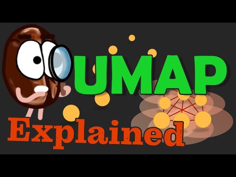 UMAP explained | The best dimensionality reduction?